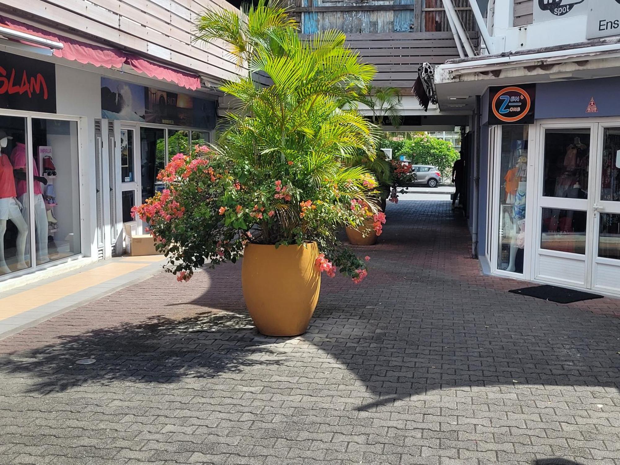 Vakantiehuis Pata La Gaulette